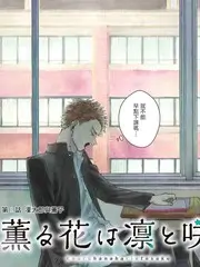 城市漫游者 人文综艺在线看